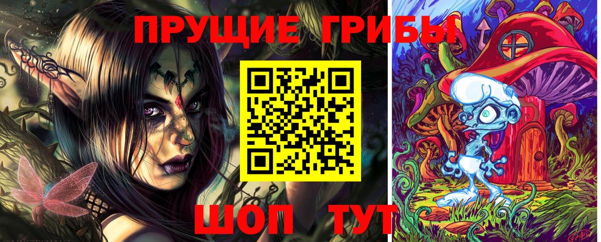 где можно купить   Вход с VPN  Вичуга  Псилоцибиновые грибы мухоморы 